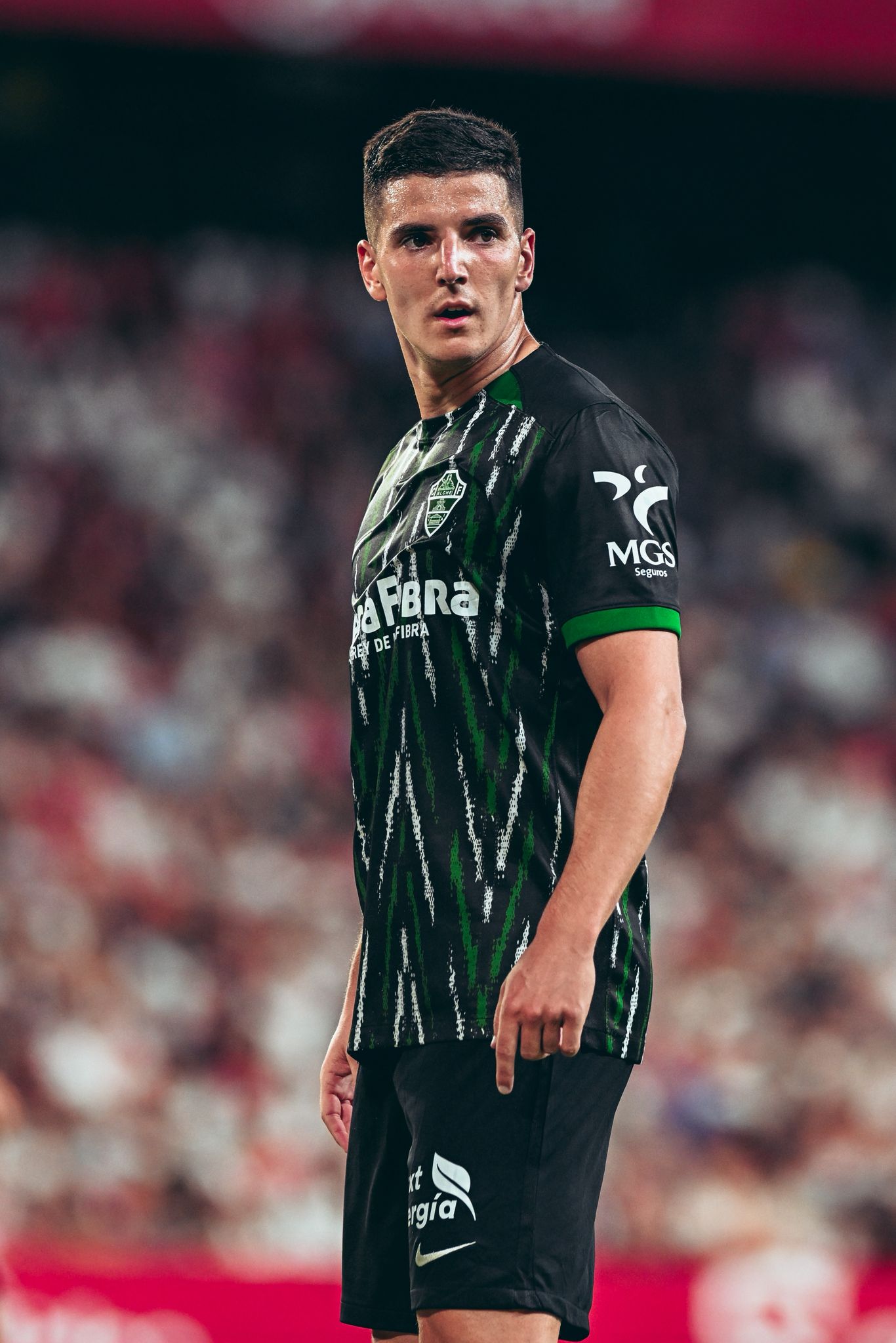 Martim Neto